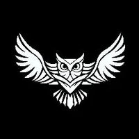 Pure Flight Disc Golf logo